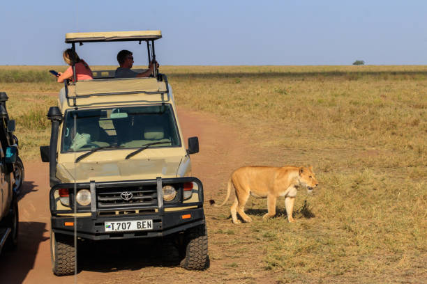 Serengeti Safari Images