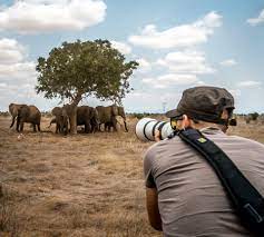 Ngaiza-Adventures_Image