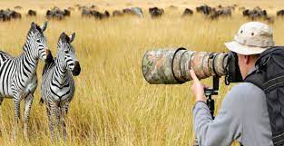 Ngaiza-Adventures_Image