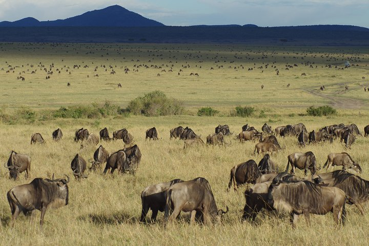 Ngaiza-Adventures_Image