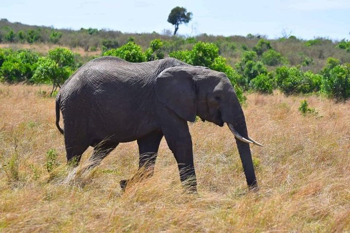 Ngaiza adventures