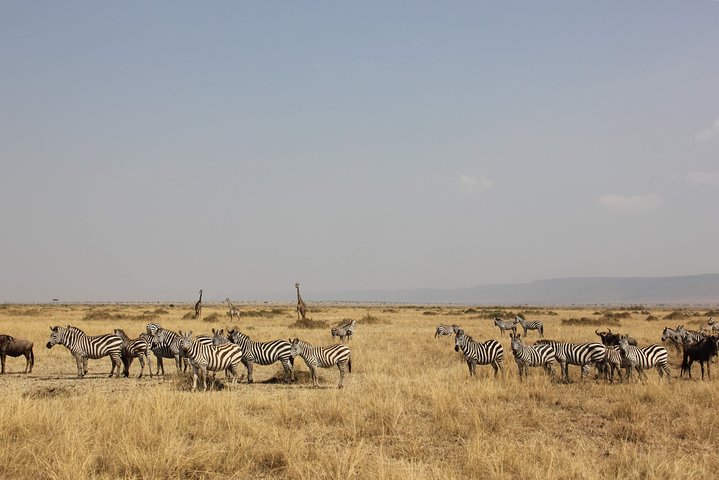 Ngaiza adventures