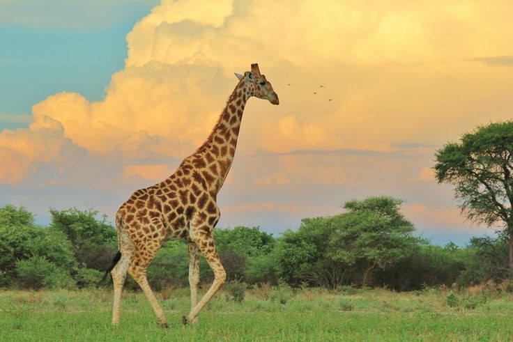 Ngaiza-Adventures_Image