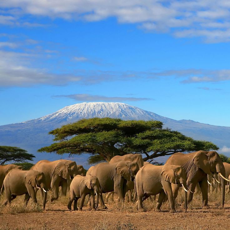 Ngaiza-Adventures_Image